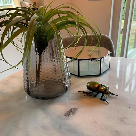 Chalet Santpoort-Zuid *