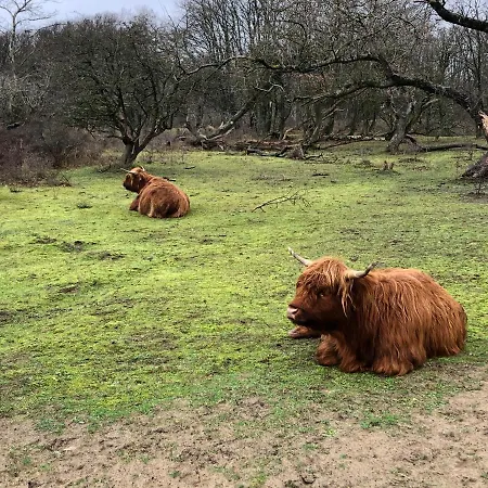 Chalet Santpoort-Zuid * Santpoort-Zuid